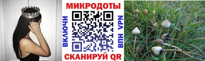 Галлюциногенные грибы прущие грибы  Трубчевск 